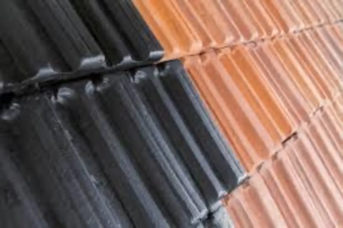 Roof/driveway paint - Image 4