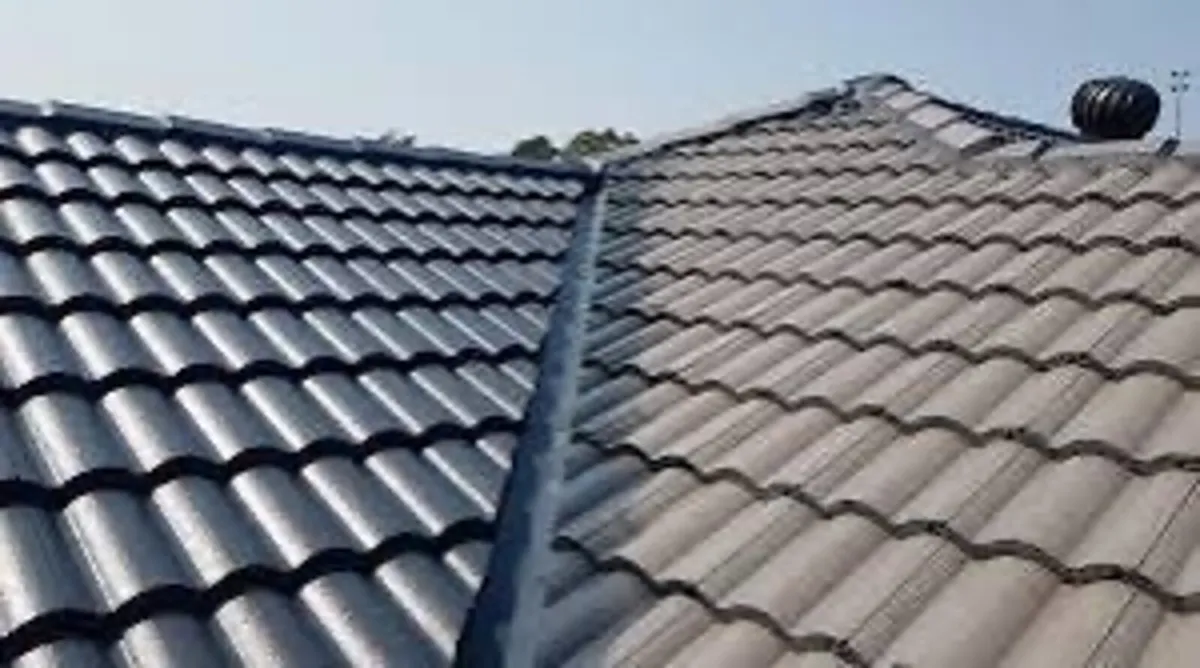 Roof/driveway paint - Image 2