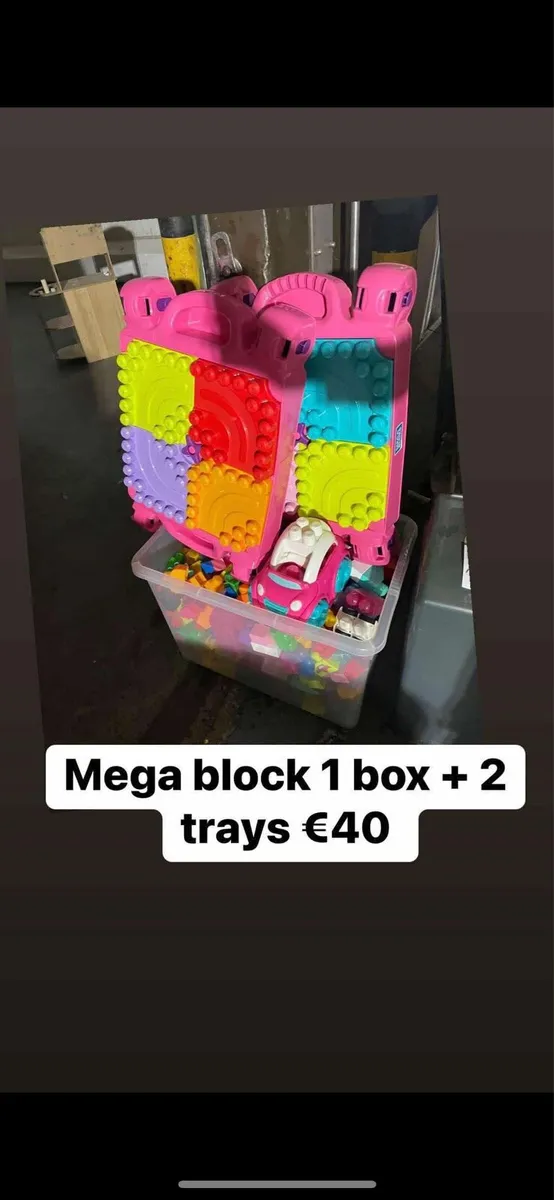 Mega blocks + 2 tray toys €40 all