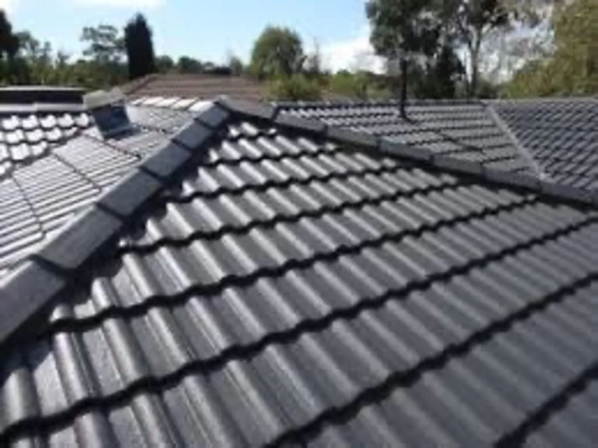 Roof/driveway paint - Image 1