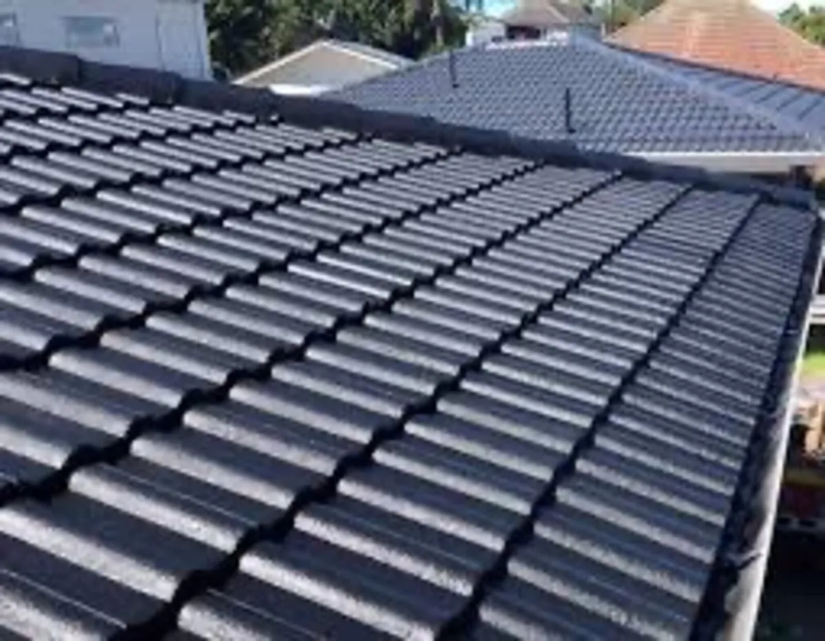 Roof/driveway paint - Image 4