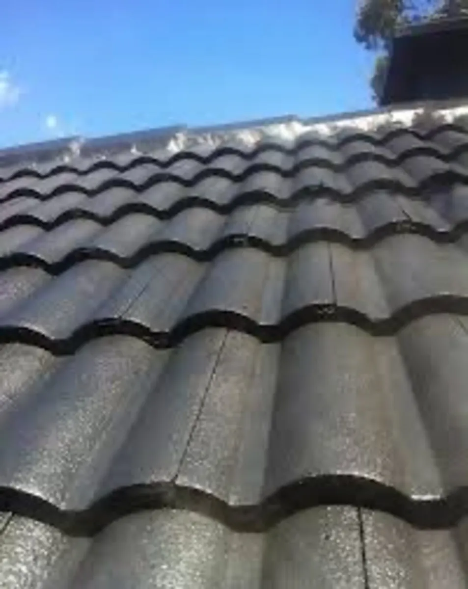 Roof/driveway paint - Image 4