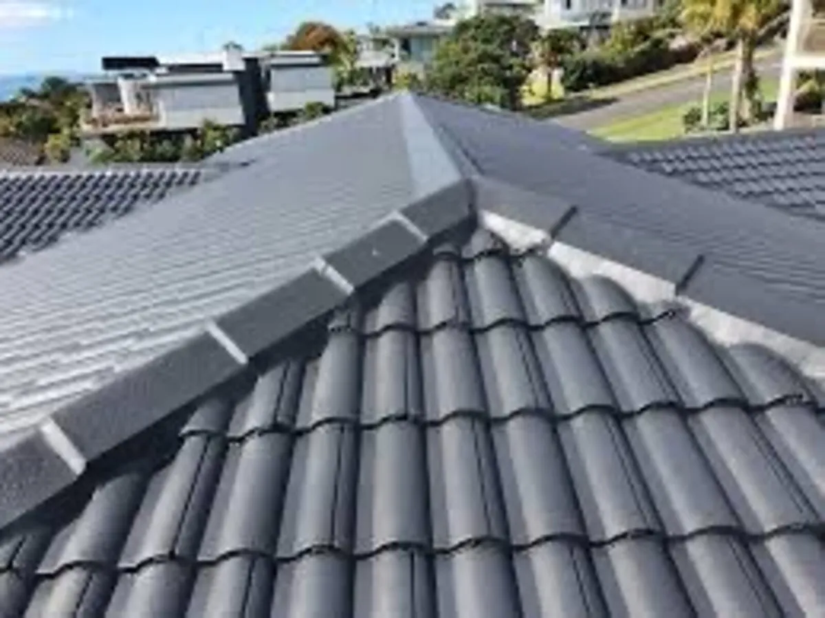 Roof/driveway paint - Image 1