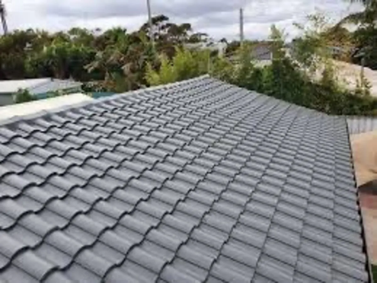Roof/driveway paint - Image 2