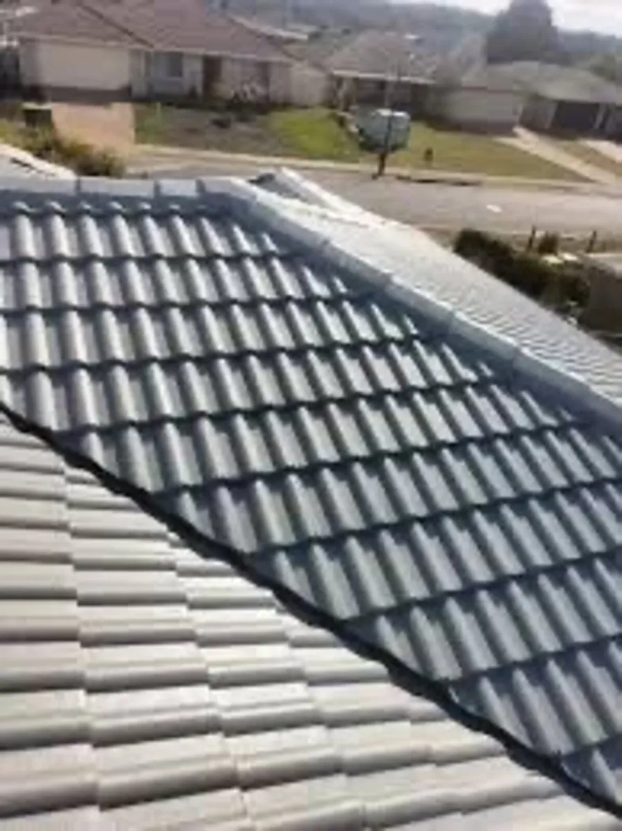 Roof/driveway paint - Image 4