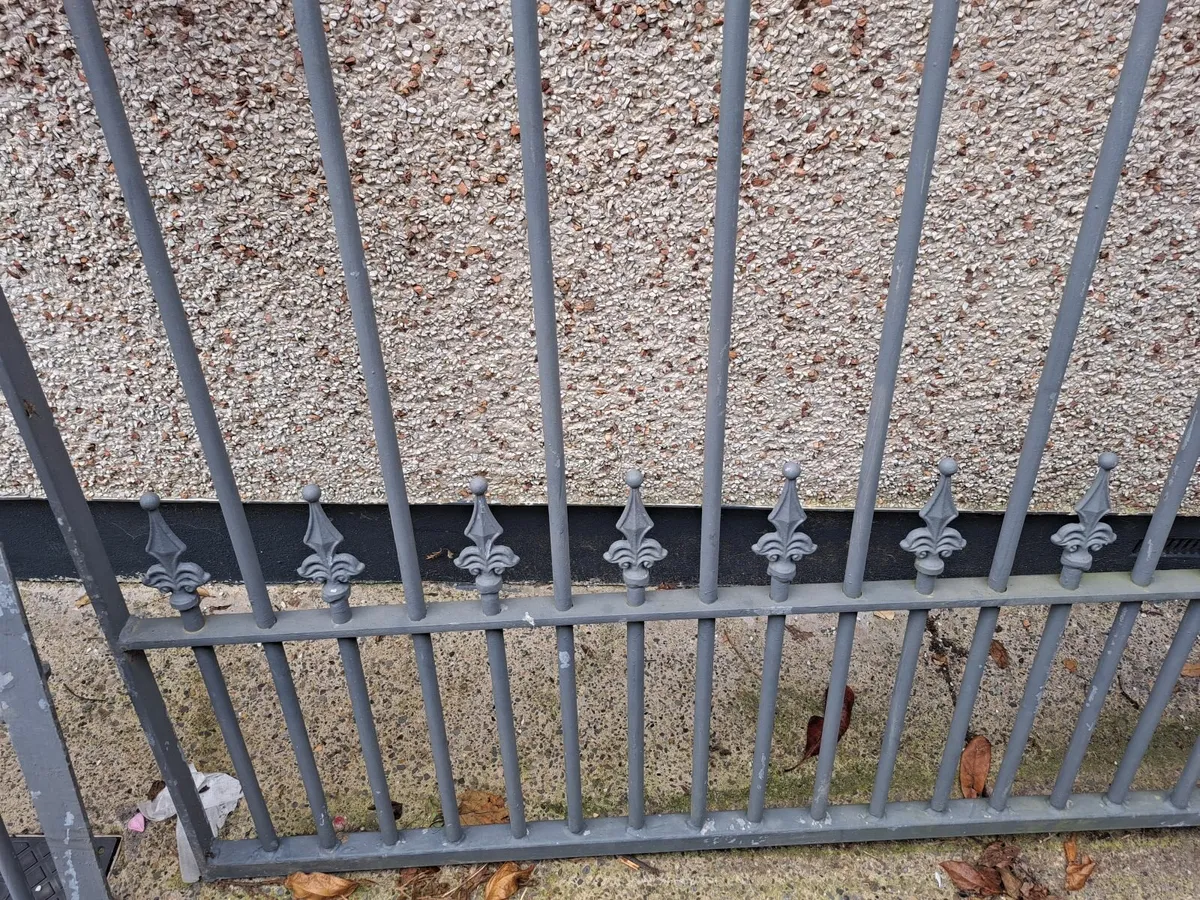 Garden gates - Image 1