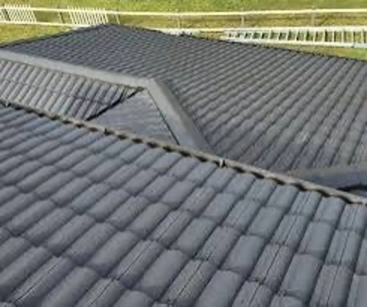 Roof/driveway paint - Image 2