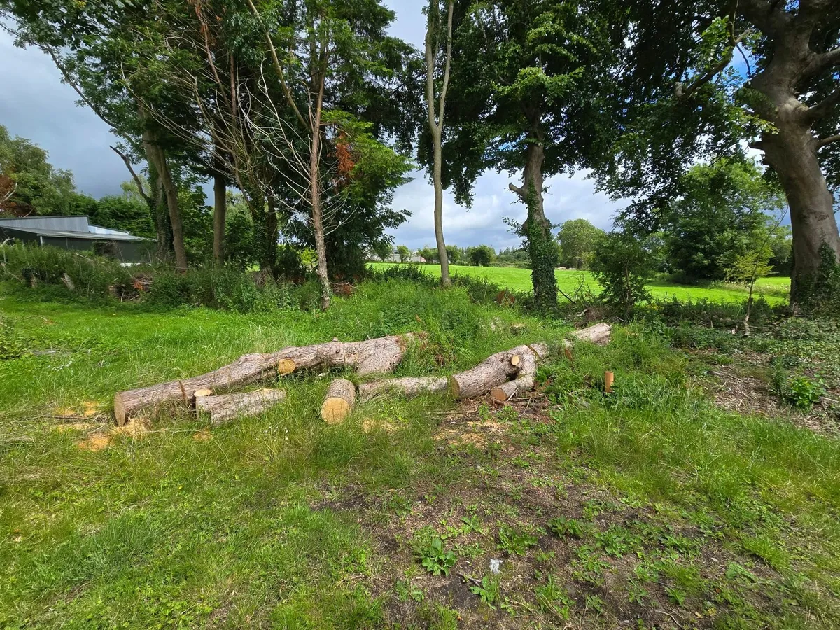 Firewood - Image 3