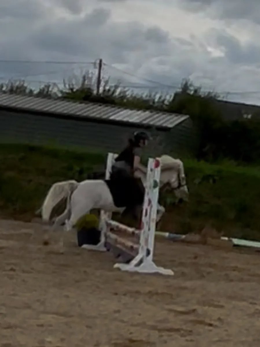 12/12.1h fun sized superstar 12 yo - Image 2