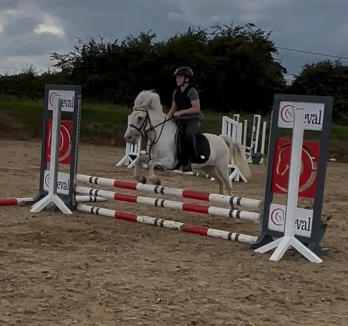 12/12.1h fun sized superstar 12 yo - Image 3