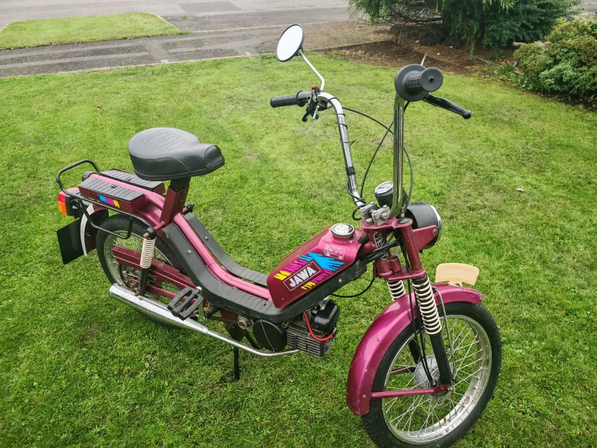 Jawa babetta - Image 3