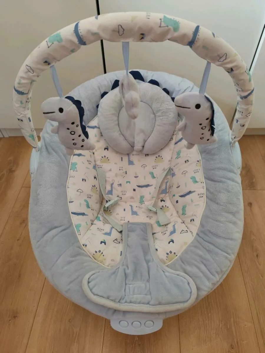Baby Bouncer
