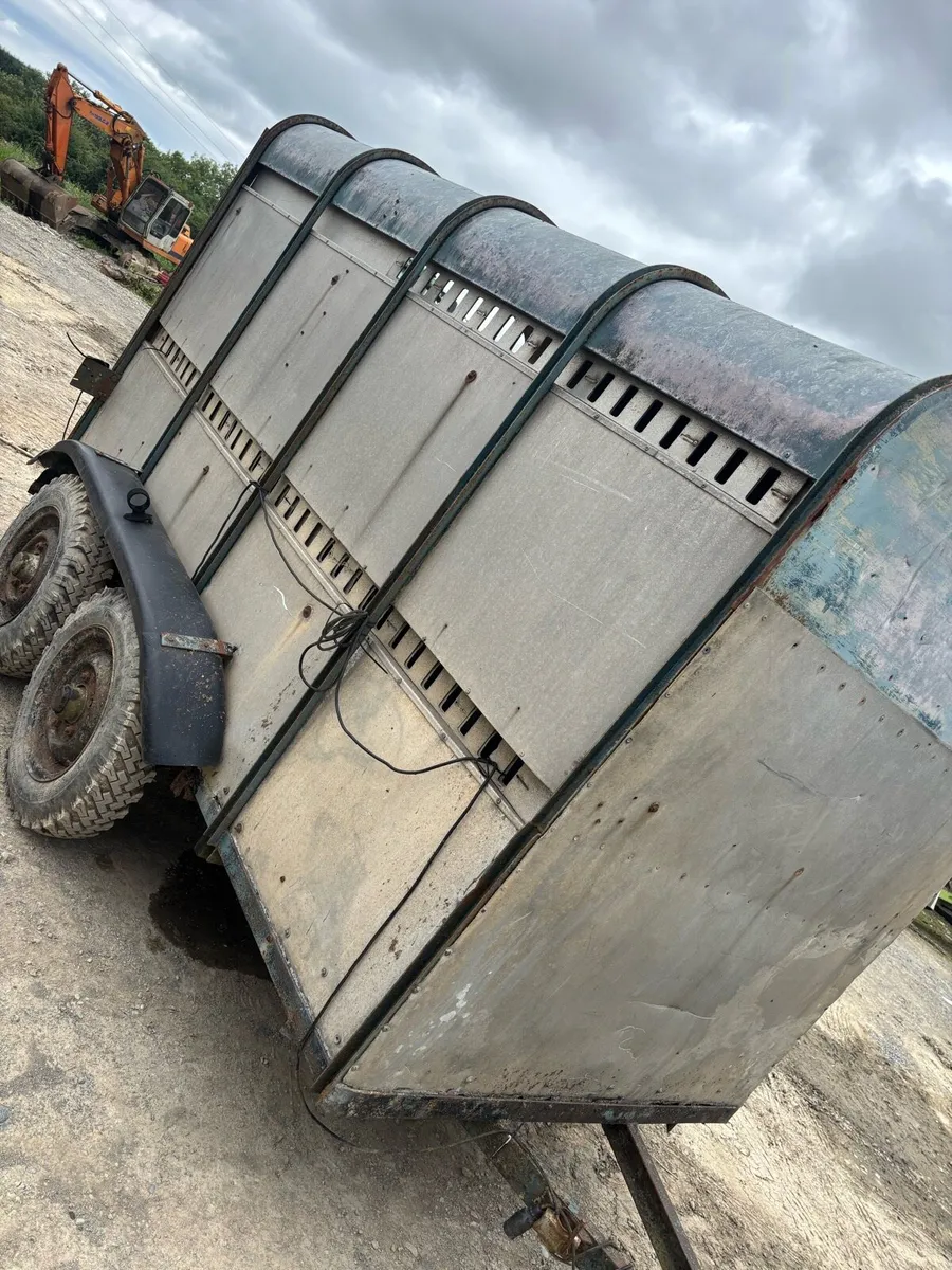 Ivor Williams cattle trailer - Image 2