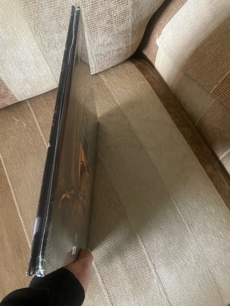 Rolling Stones 10” Vinly LP Boxset , The Abandoned - Image 4