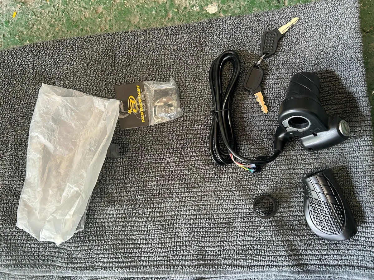 E-bike 48 volt 1000 watt Richbit TOP-012 e bike - Image 2