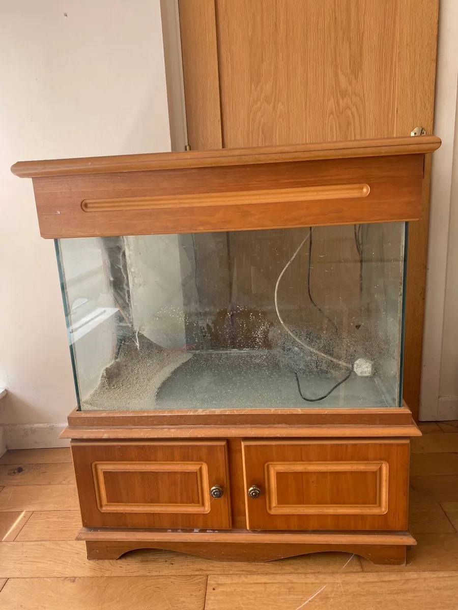 Fish Tank - Image 1