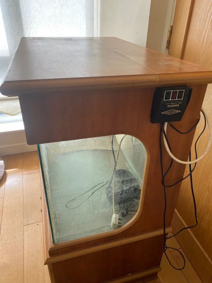 Fish Tank - Image 2