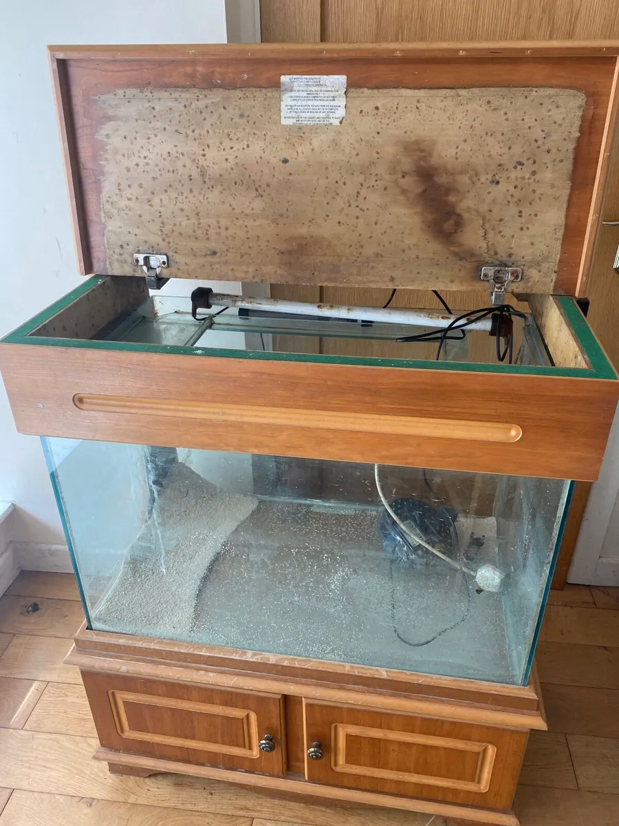 Fish Tank - Image 3