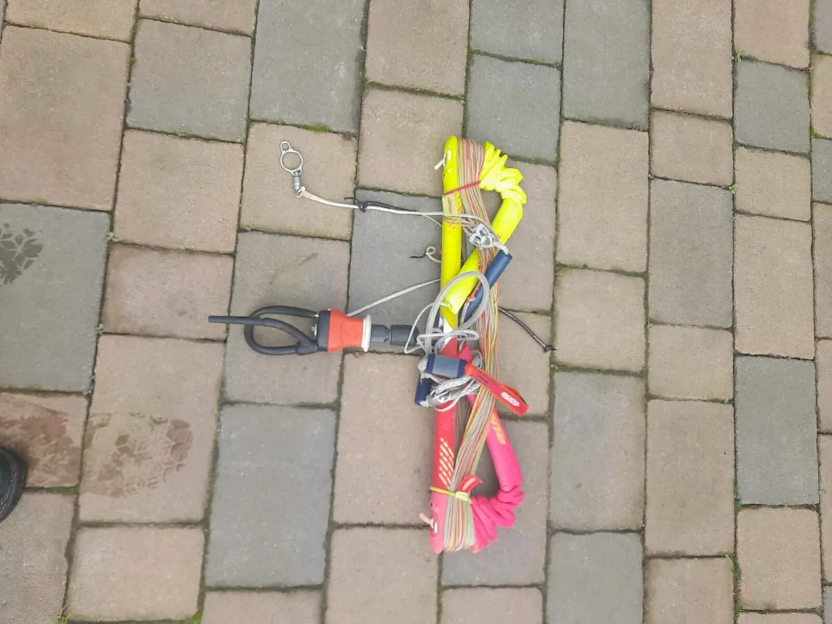 Kite - Image 3