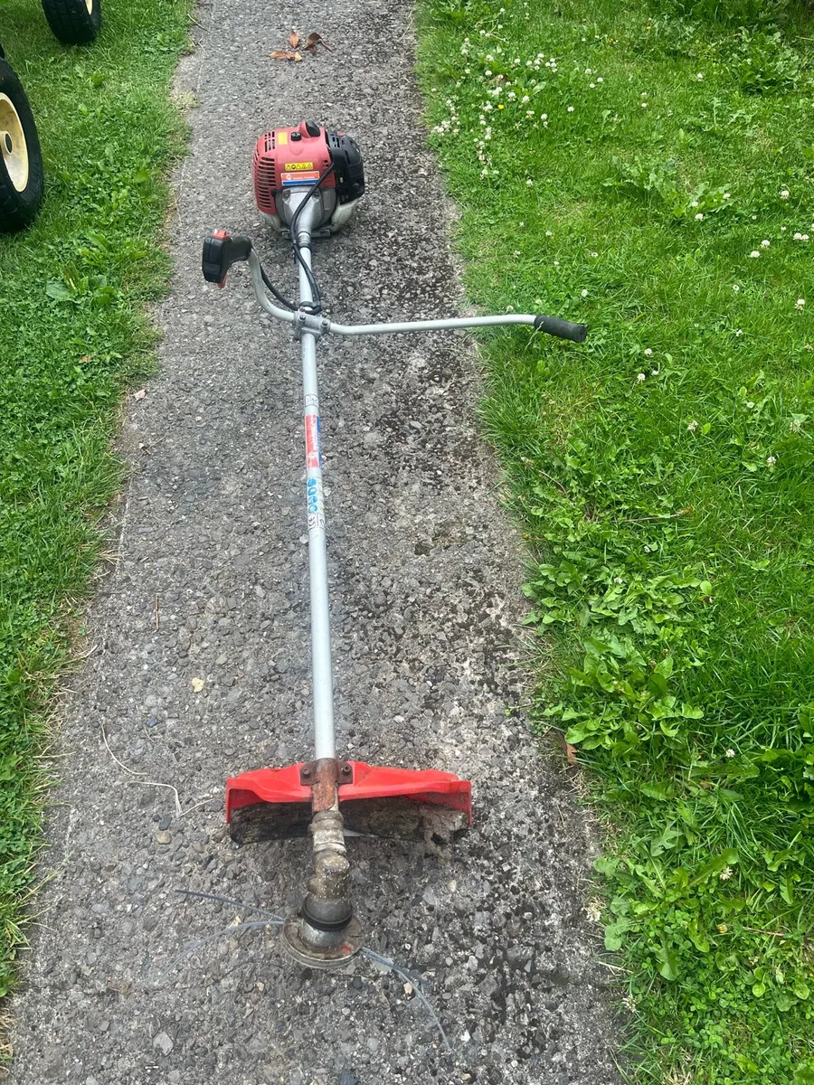 Strimmer - Image 3