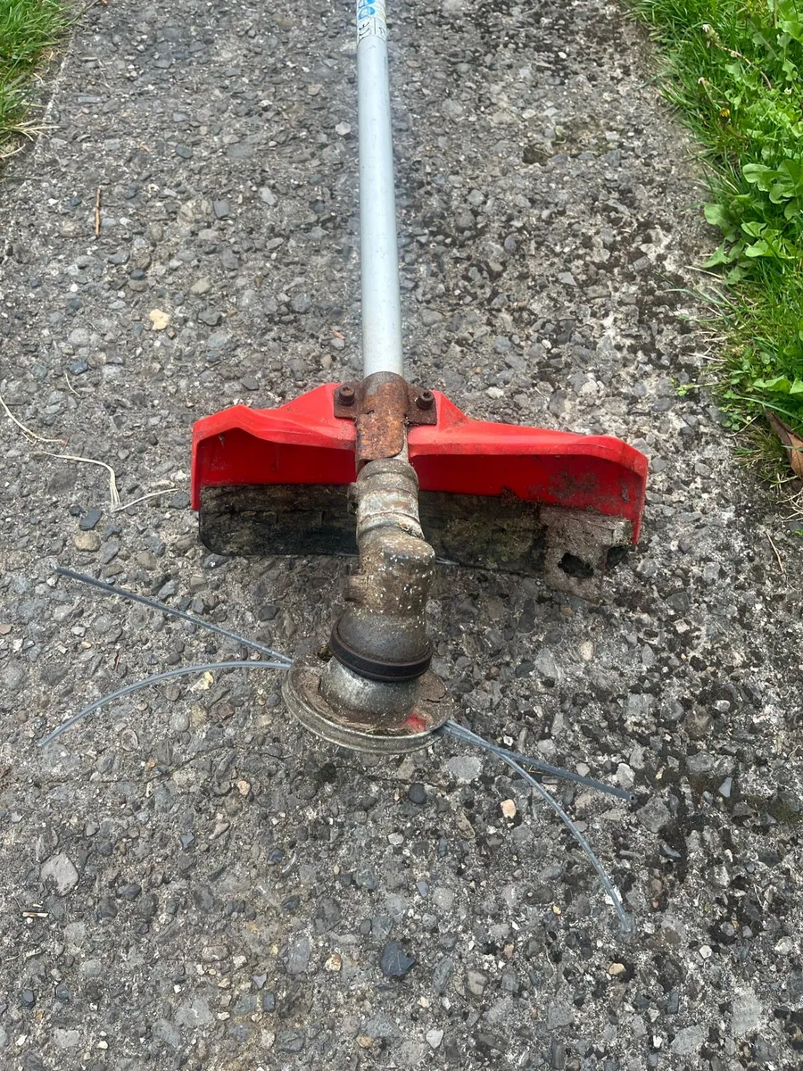 Strimmer - Image 4