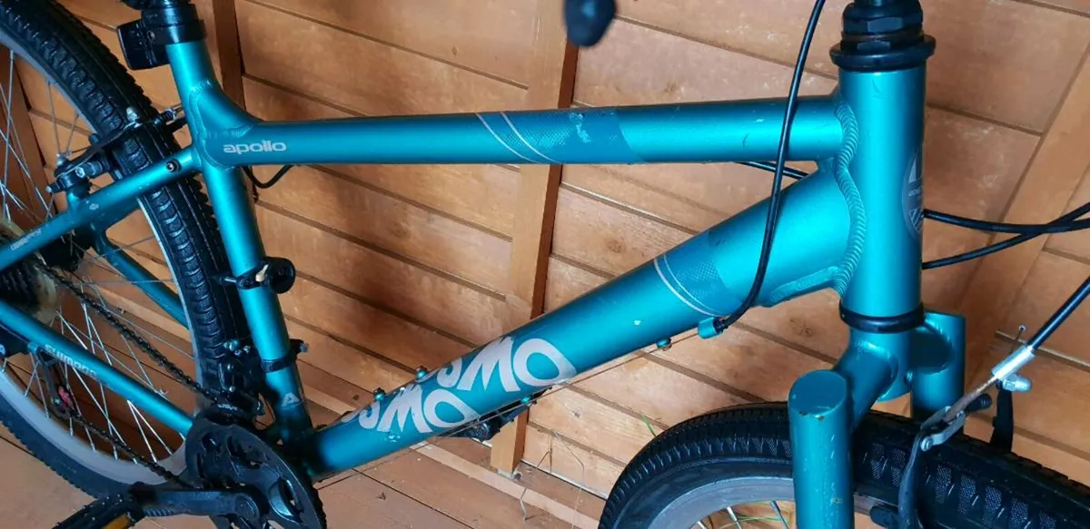 Adult or teenagers Bike - Image 2
