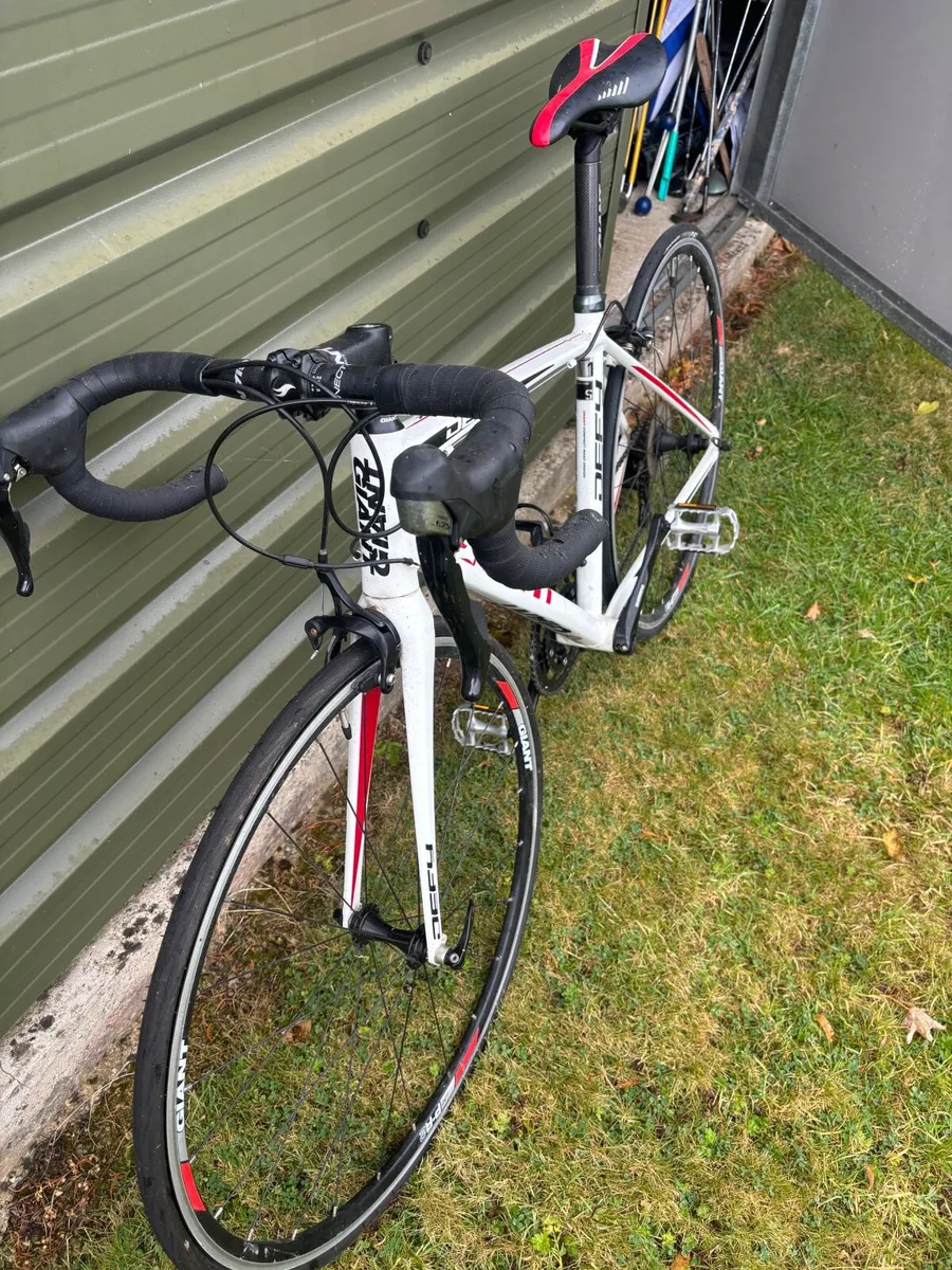 Giant Road Bike - Image 3