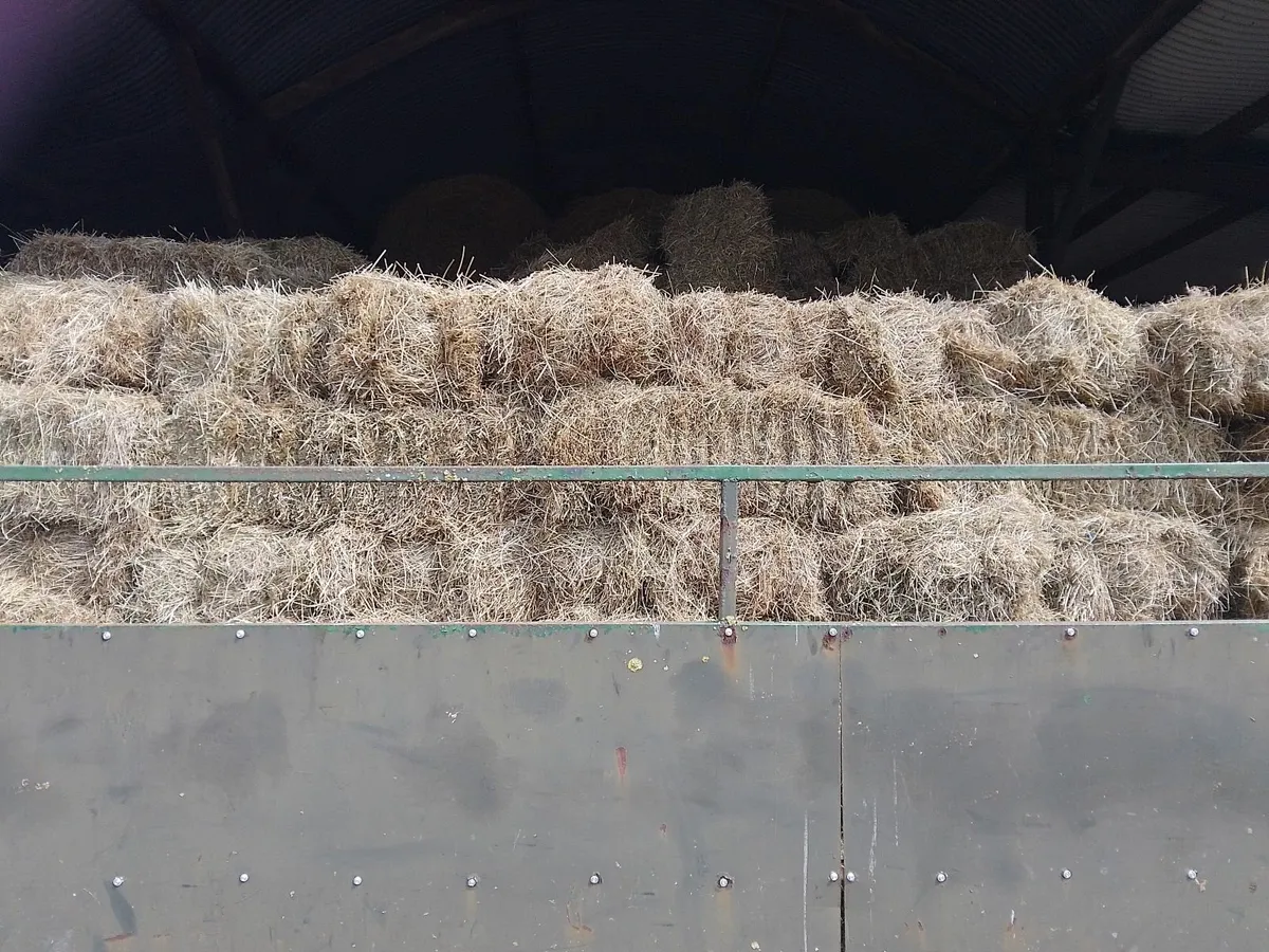Hay - Image 1