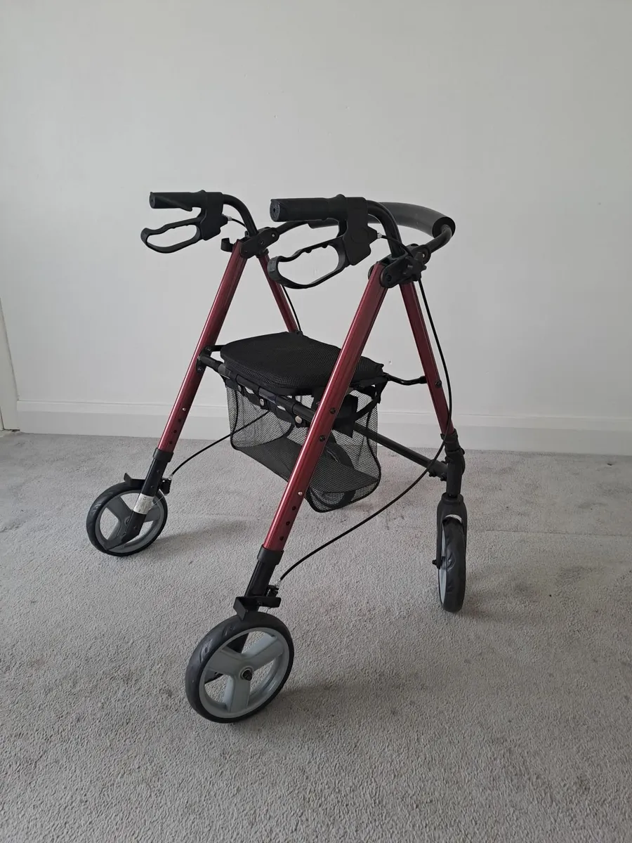 Mobility walker - Image 1