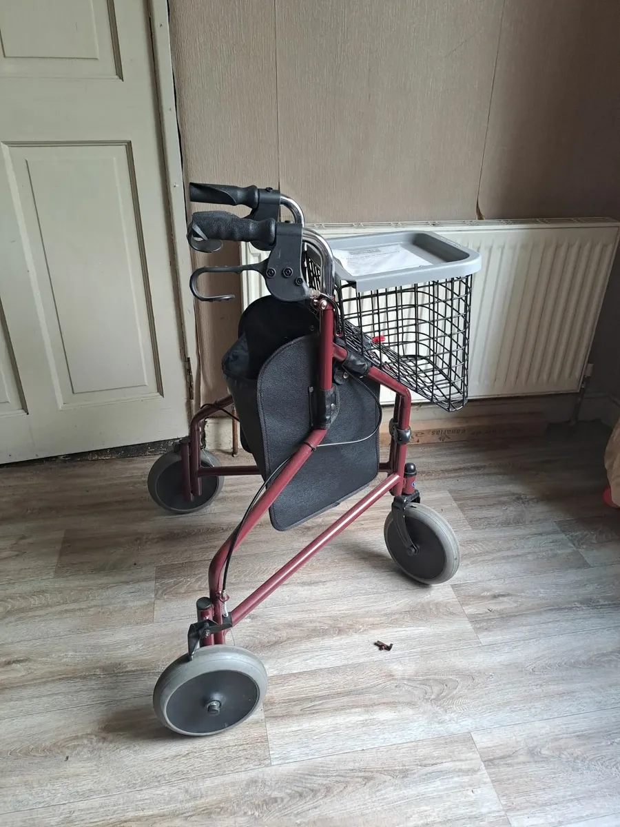 Mobility walker - Image 2