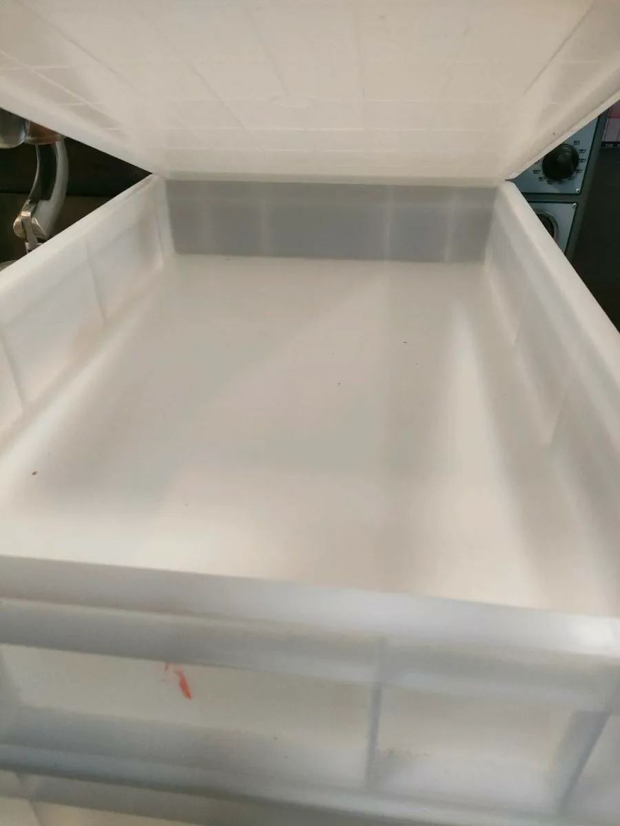 Deep pizza trays - Image 1
