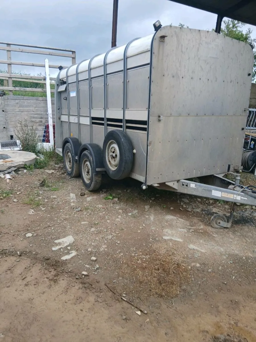 cattle trailer - Image 2
