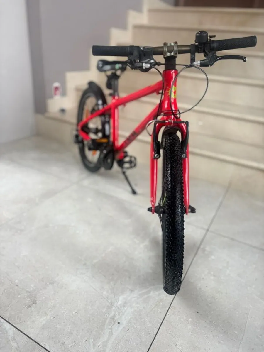 Frog Bike - Image 1