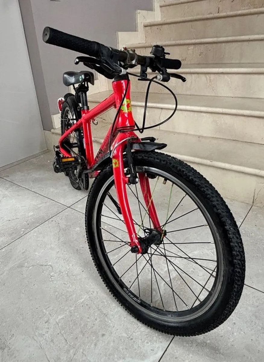 Frog Bike - Image 2