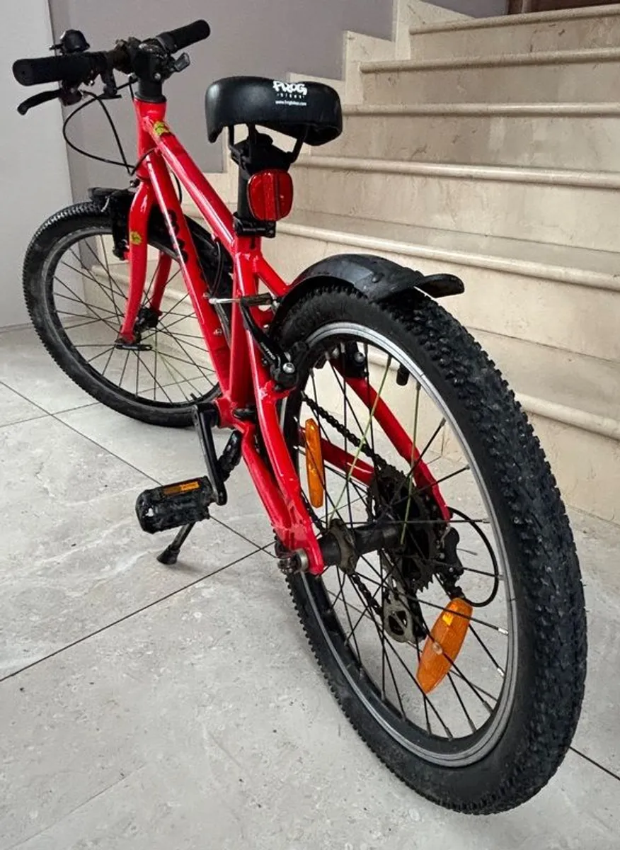 Frog Bike - Image 4