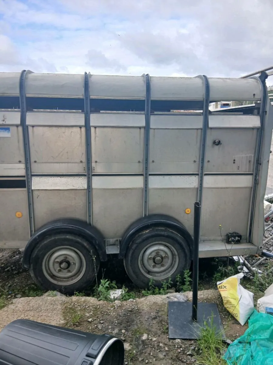 cattle trailer - Image 1