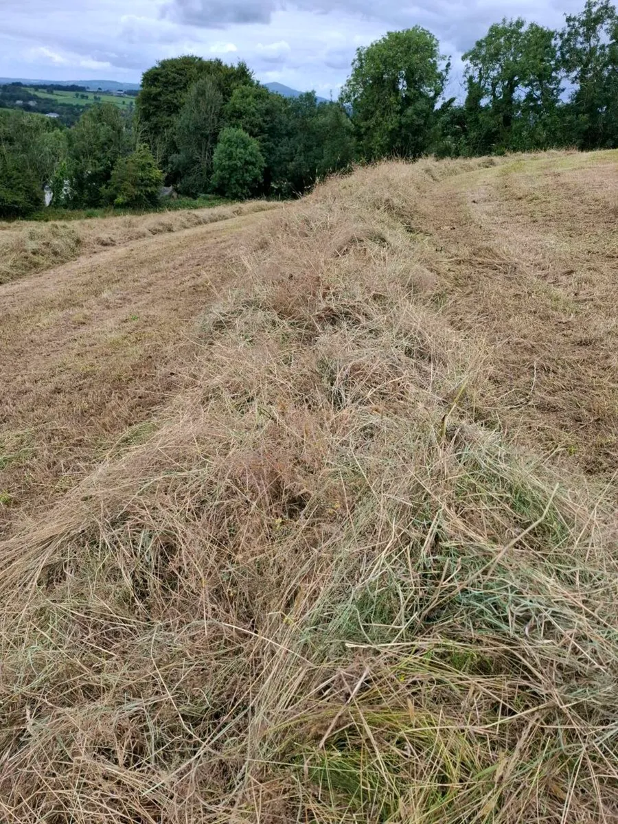 Haylage - Image 1
