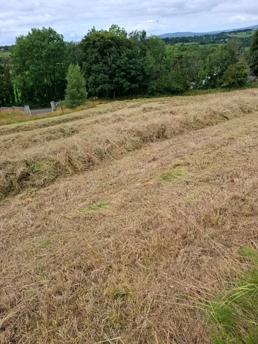 Haylage - Image 2
