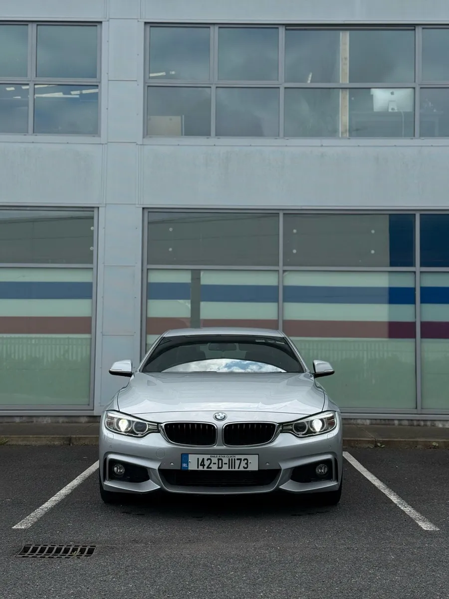 Bmw 420d Msport Shadowline Auto - Image 2
