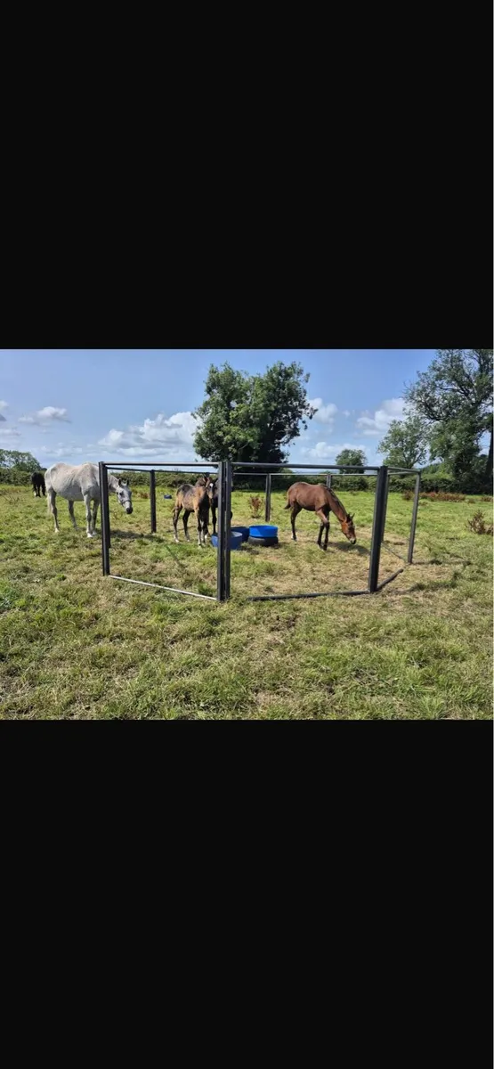 Foal creep feeders - Image 3