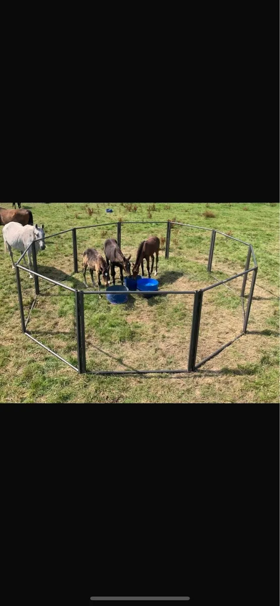Foal creep feeders - Image 1