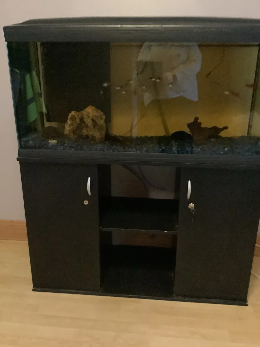 Fish tank - Image 1