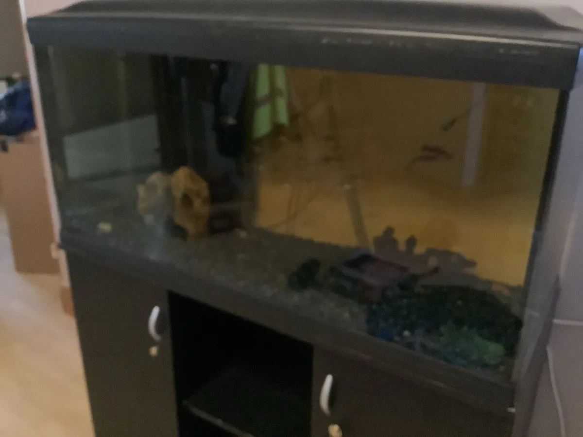 Fish tank - Image 2