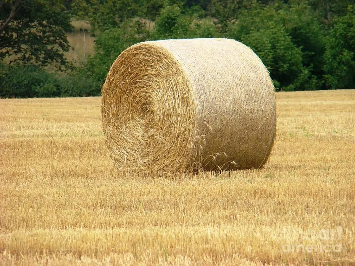 Straw round bales 4x4