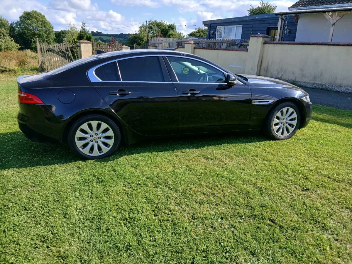 Mint Jaguar Xe - Image 3