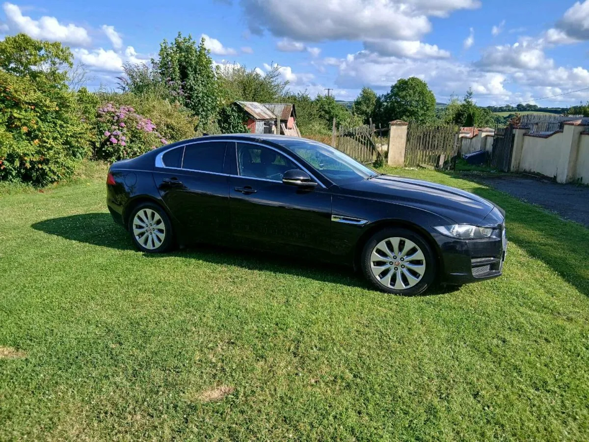 Mint Jaguar Xe - Image 4
