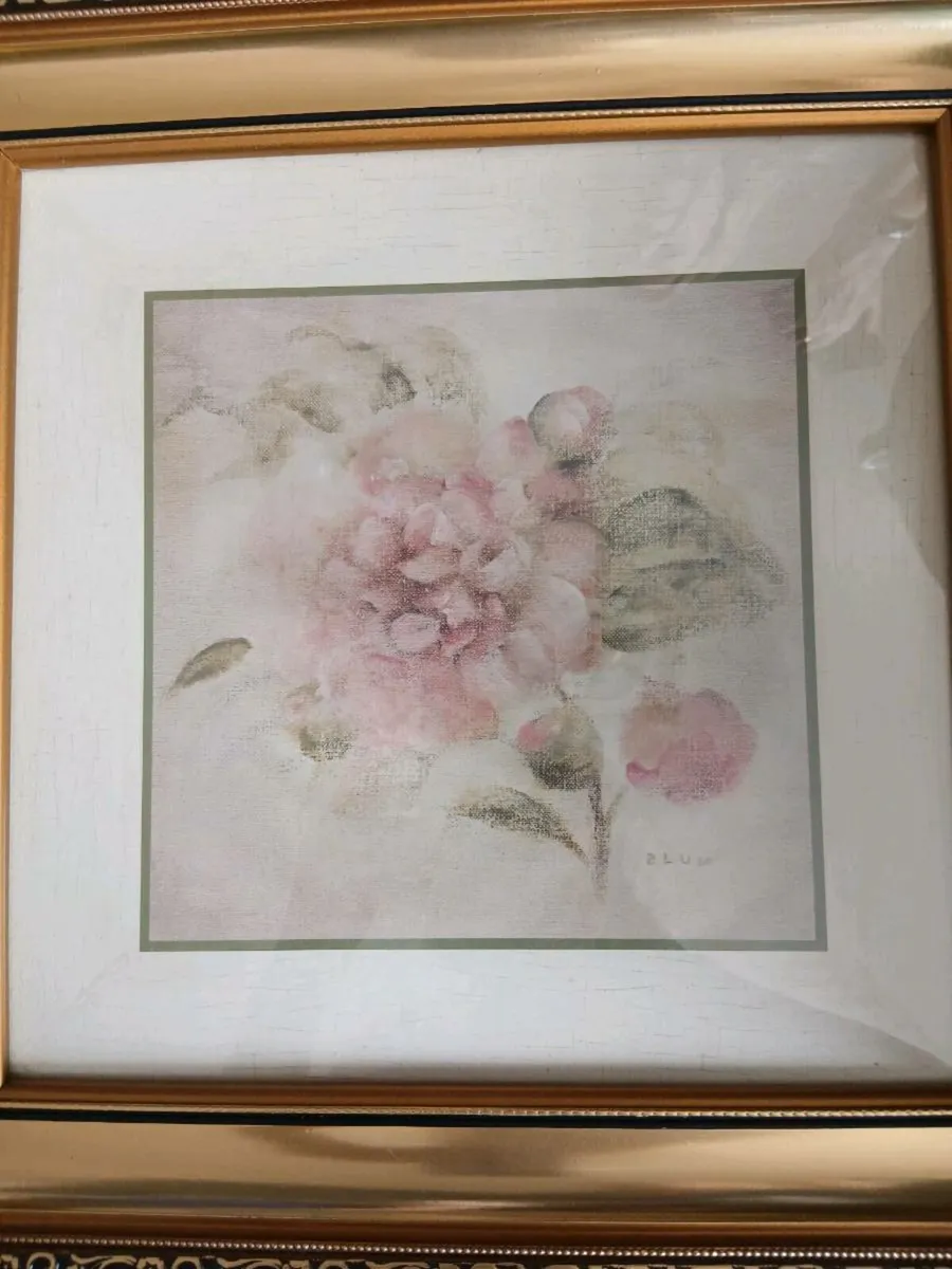 Picture - Image 1