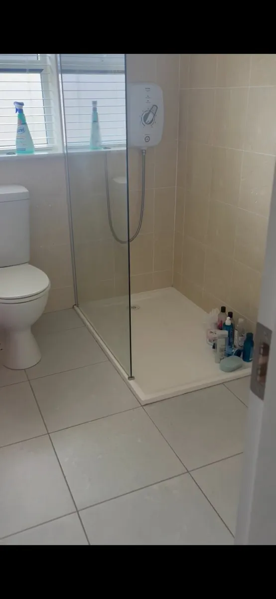 Shower panel, tray, and electric shower unit.