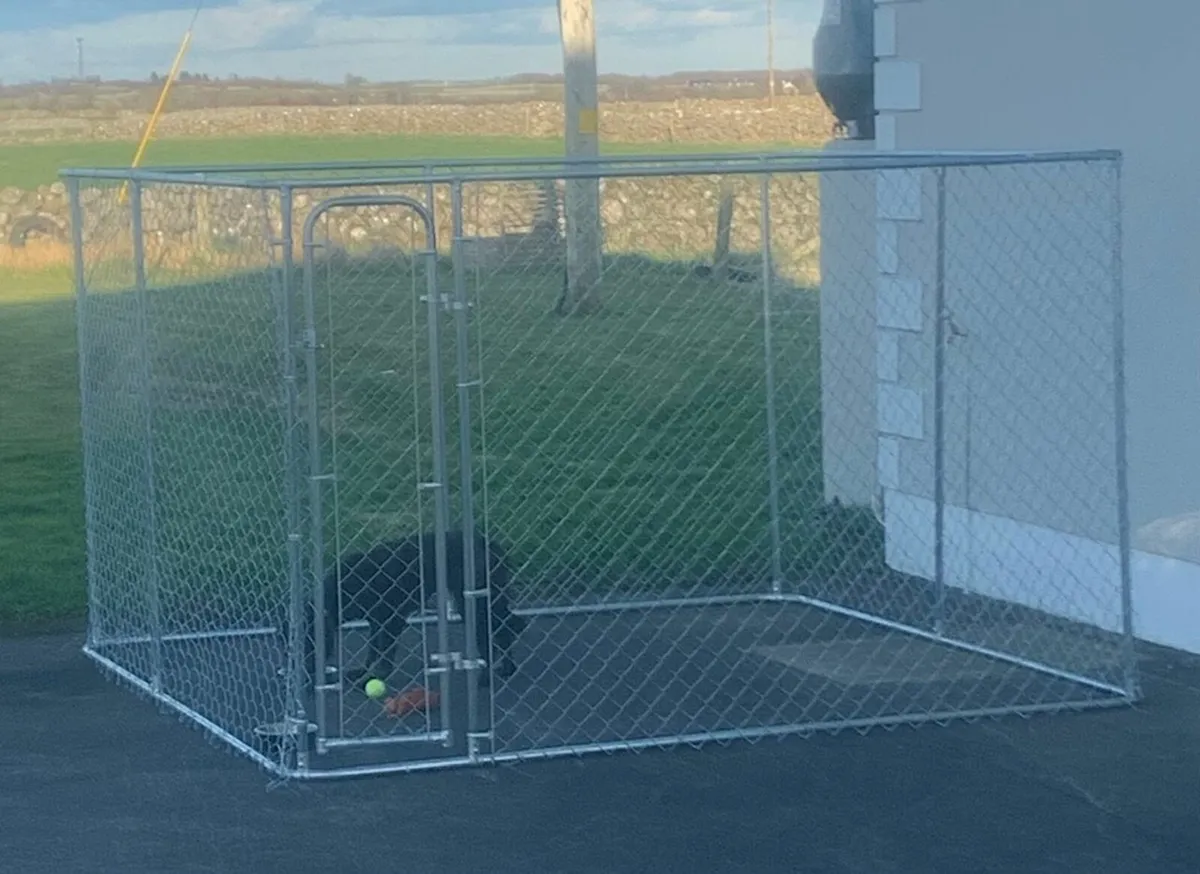 Dog Cage - Image 1
