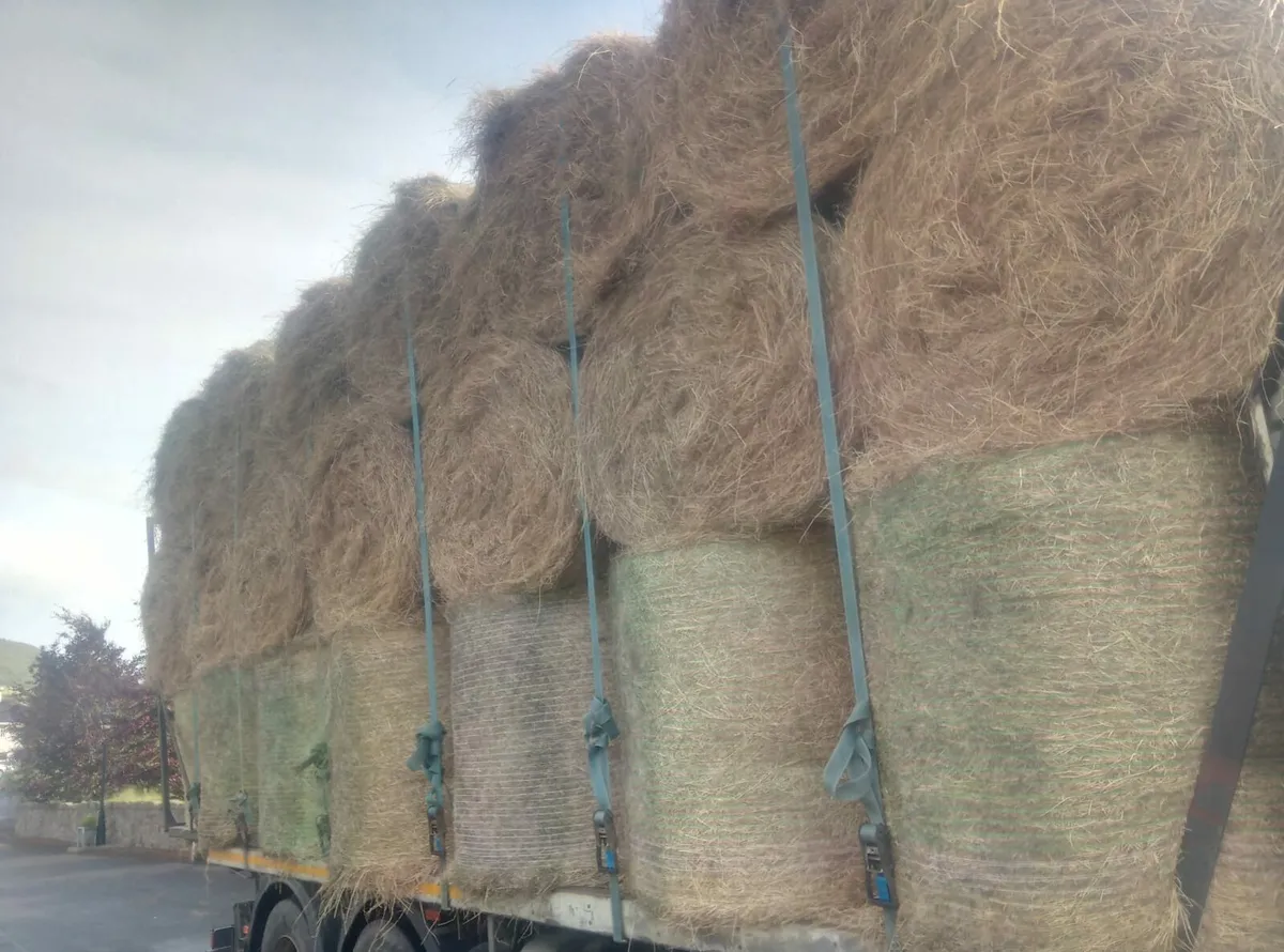 Round Bales of Hay & Straw for Sales - Image 2